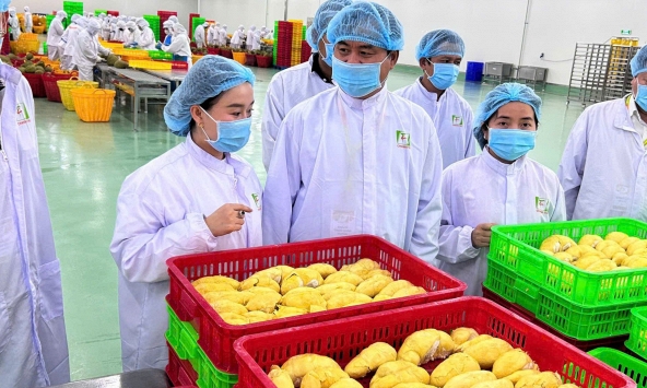 Láng giềng Việt Nam bất ngờ “lăng xê” 1 loại quả: Chợ Việt rất sẵn, sản lượng 2,08 triệu tấn, Trung Quốc mạnh tay chi 1,85 tỷ USD nhập khẩu