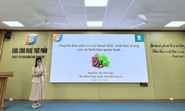 Ánh sáng và nhiệt độ làm thay đổi nitrate trong rau xà lách ra sao?