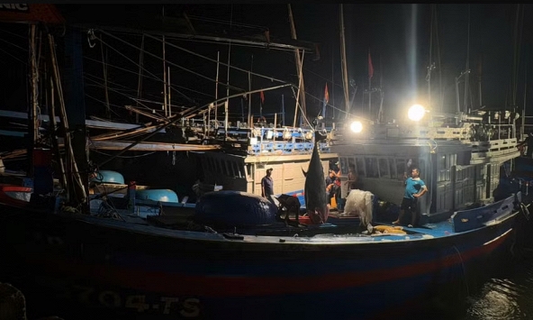 Bắt được 'quái ngư' 310 kg ngoài khơi Việt Nam: Kích thước lớn đến mức phải dùng thiết bị chuyên dụng
