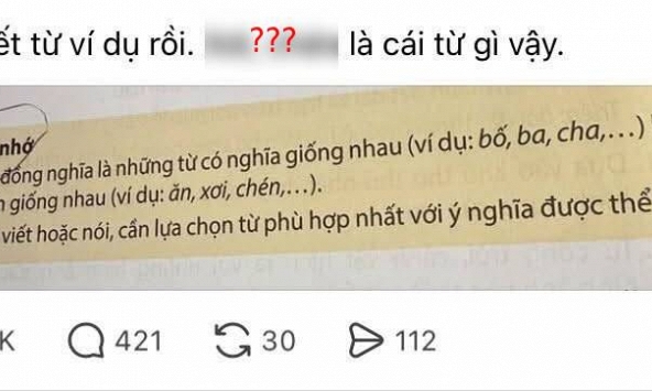 Lên mạng thắc mắc 1 câu, cô gái khiến nhiều người ngỡ ngàng: Hai từ Tiếng Việt này mà cũng không biết?
