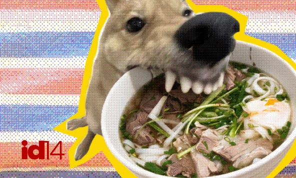 Nghệ thuật Comfort Food: Tại sao khi cô đơn, chúng ta lại thèm một bát phở nóng?