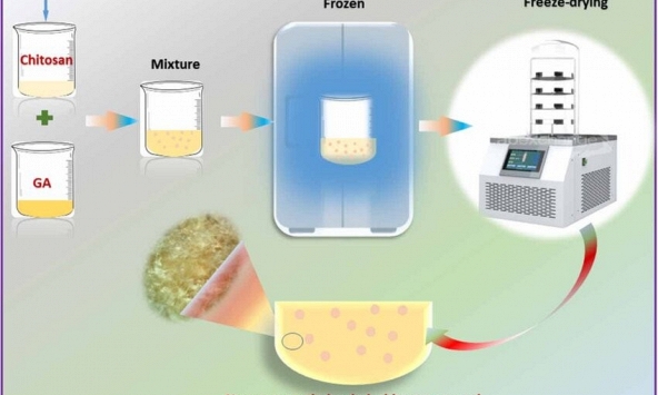 Băng chitosan mang nano alpha-mangostin cho vết thương
