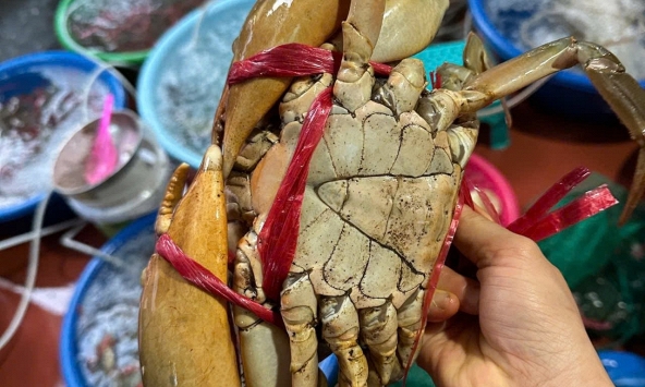 Giải pháp 'chống chặt chém' khi mua cua theo cân ở chợ dân sinh