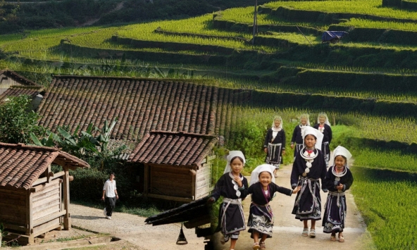 Phát hiện Quán nhà Haha ở nơi có 34 hộ dân, cao gần 1.000 m, giữ hàng trăm đàn ong tổ to bằng manh chiếu mà không lấy mật
