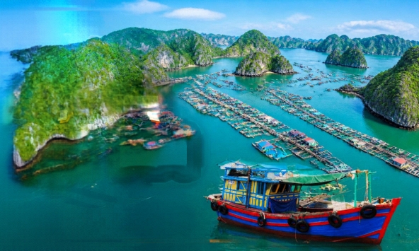Việt Nam có làng chài lâu hơn kim tự tháp Ai Cập: Đào lên được 88 đầu cá biển, giờ vẫn 300 hộ sống trên mặt nước