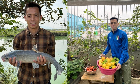Cây chanh vàng của Văn Quyết