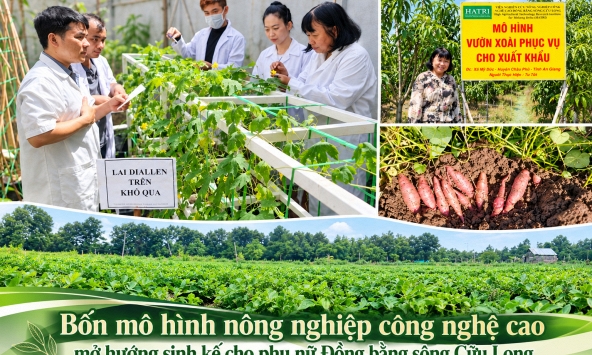 Bốn mô hình nông nghiệp công nghệ cao mở hướng sinh kế cho phụ nữ Đồng bằng sông Cửu Long