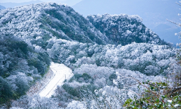 Phát hiện đỉnh núi cao 1.931 m ở Việt Nam, từng lạnh -9°C, mùa đông phủ băng trắng đẹp như châu Âu
