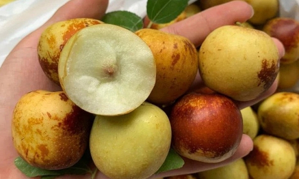 3 loại trái cây nhiều người mê nhưng có thể khiến dạ dày “khó ở”, loại cuối ít ai ngờ