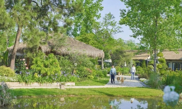 Bỏ phố lên núi nghỉ hưu ở tuổi 34, đêm đến tôi lại không dám ra khỏi nhà