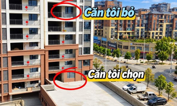 Mua căn hộ tầng thấp được tặng sân rộng, chủ nhà hào hứng làm vườn: 6 tháng sau phải tháo gần hết vì 4 rắc rối này