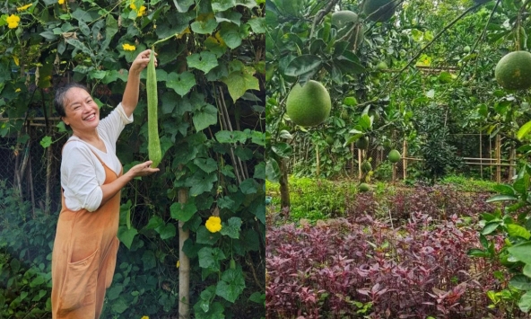 Mẹ nuôi của Phương Oanh nghỉ hưu sớm, làm nông dân ở khu vườn rộng 4.000m² ven sông Hồng