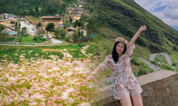 Chỉ còn 9 ngày nữa, 240ha hoa tam giác mạch đẹp nhất Việt Nam chính thức mở cửa, có nơi người dân được ngắm miễn phí