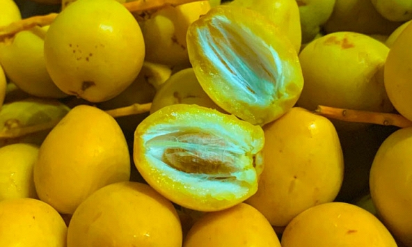 Việt Nam đã trồng được loại quả bé xíu có cách ăn kỳ lạ: Được đồn “cắn dọc thì ngọt, cắn ngang lại chát đến nhăn mặt”