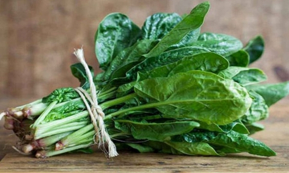 5 loại rau 'đẩy máu' lên não, người rối loạn tiền đình đừng để thiếu trên mâm cơm: Chợ Việt bán đầy, vài chục nghìn đã mua được