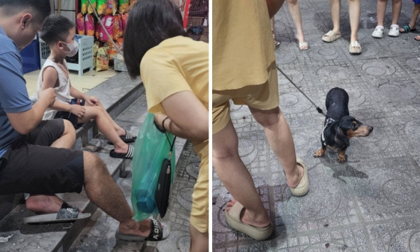 Chủ dắt chó xuống sân dạo nhưng không rọ mõm khiến 1 bé trai bị cắn phải đi tiêm phòng trong đêm