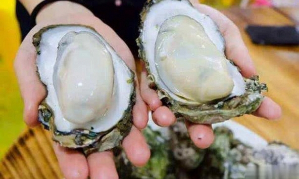 Đi chợ không nên mua 3 loại hàu này, giá rẻ đến mấy cũng đừng ham
