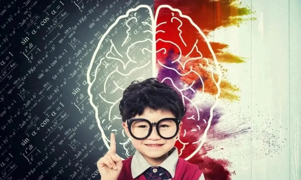 Nghiên cứu Harvard cho thấy: Trước 10 tuổi, trẻ có 3 cơ hội trở nên thông minh hơn nhưng phần lớn cha mẹ lại bỏ lỡ