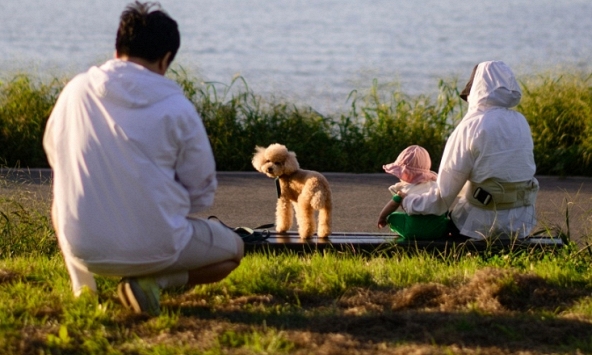 Người trẻ Hàn Quốc không sợ sinh con, phải chăng họ sợ con mình trở thành ‘người thua cuộc’