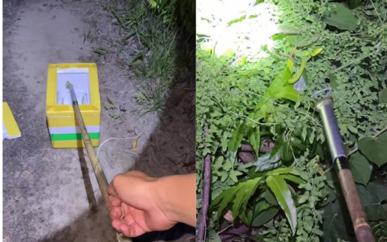 Trào lưu săn rắn lục đuôi đỏ phủ sóng TikTok: Hàng triệu lượt xem và những hiểm họa phía sau