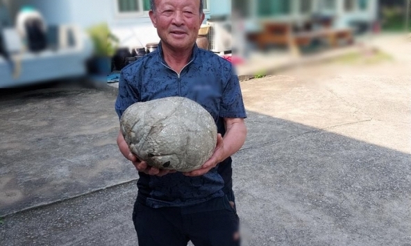 Ông lão nông dân nhặt được kho báu tiền tỷ khi đi cắt cỏ 