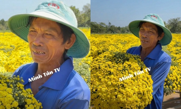 Đau xé lòng cảnh chủ vườn hoa tại Sa Đéc bật khóc giữa vườn hoa cúc hơn 2.000 chậu hoa cúc nở sớm không ai mua