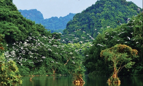 Từ 1/4, không chỉ Hang Múa mà 1 địa điểm nổi tiếng ở Ninh Bình đồng loạt tăng giá