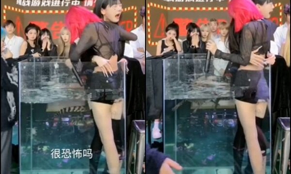 2 nữ streamer bị ép nhảy vào bể cá có cá sấu để livestream kiếm tương tác
