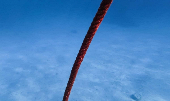 Thả một sợi cáp dài 10 km xuống đáy biển, các nhà khoa học phát hiện 56.000 tín hiệu lạ chỉ trong 21 ngày