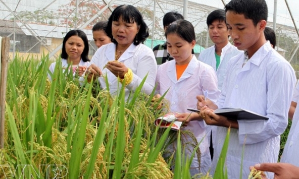 Chính sách khuyến nông mới nối nữ trí thức với phụ nữ nông thôn