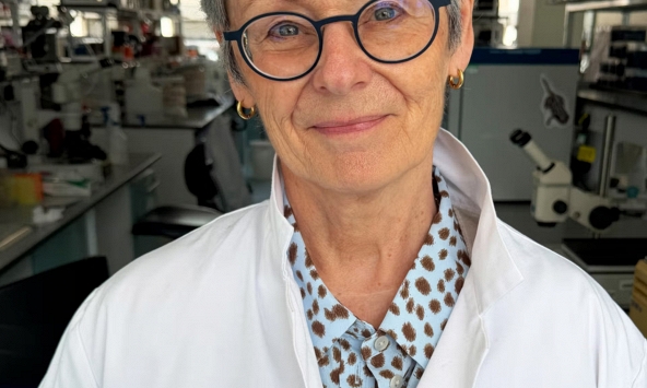 GS.TS Christine Holt tìm ra “xưởng protein” ở đầu sợi thần kinh