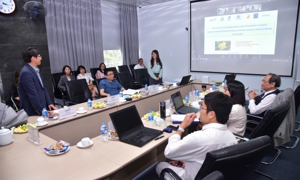 NCS Nguyễn Phương Nhị tìm “dấu vân tay” hóa học của Trà hoa vàng