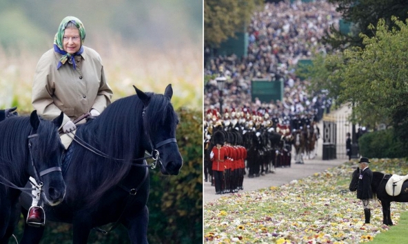 Câu chuyện phía sau bức tượng ngựa gỗ tái hiện người bạn 30 tuổi của cố Nữ hoàng Anh Elizabeth