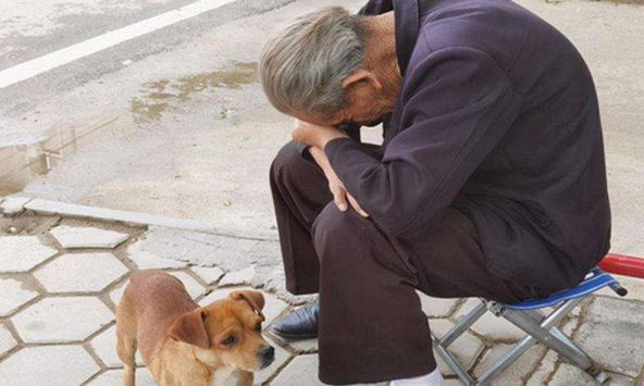 Con cái học thức càng cao, lớn lên càng dễ... 'bất hiếu' - Topic đang gây tranh luận, bạn nghĩ sao?