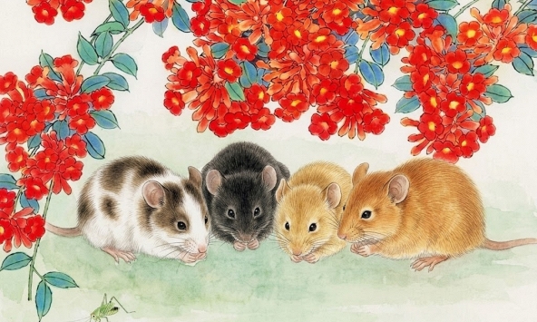 Chỉ mặt điểm tên 4 con giáp 'hốt bạc' nửa đầu năm 2026: Vận trình lên hương nhờ một điểm chung ít ai ngờ tới!