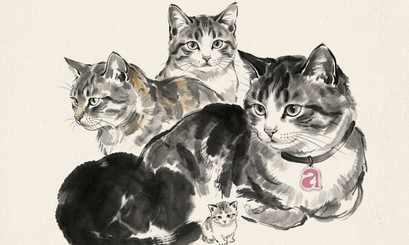 Nếu bạn thuộc 4 con giáp này, chuyện tình cảm sắp có biến chuyển bất ngờ