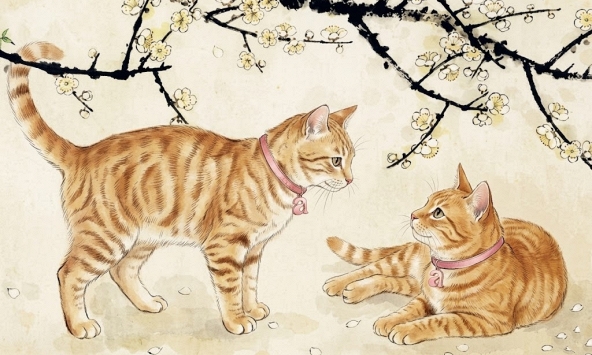 Trời sinh bản lĩnh: 4 con giáp lội ngược dòng ngoạn mục, từ giữa năm 2026 tiền tài rủng rỉnh, sự nghiệp thăng hoa đến ngỡ ngàng