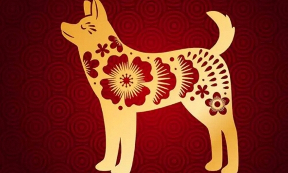 Đầu năm, giữa năm 'không rực rỡ cũng chẳng sao', 4 con giáp được dự đoán cuối năm sẽ bứt tốc ngoạn mục về học tập và sự nghiệp!