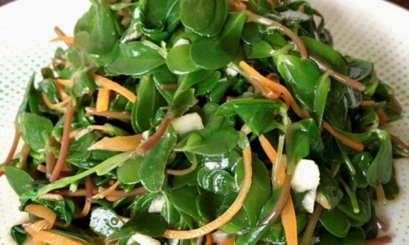 Đừng coi là cỏ dại, loại rau mọc đầy lối đi này là 'vua canxi', đem trộn nộm hay nấu canh đều ngon hơn thịt