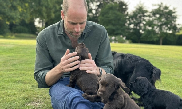15 năm, 3 con, 2 chú chó và 1 bức ảnh: Gia đình William – Kate giờ trông như thế này