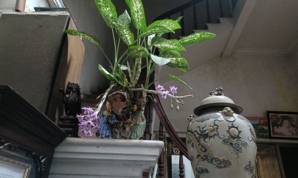 Nghe con rể báo 'Con sợ vợ con quá' mà tôi bủn rủn, đến chính tôi cũng thấy con gái mình khó lường