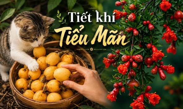 Lời khuyên cho 12 con giáp trong tiết Tiểu Mãn