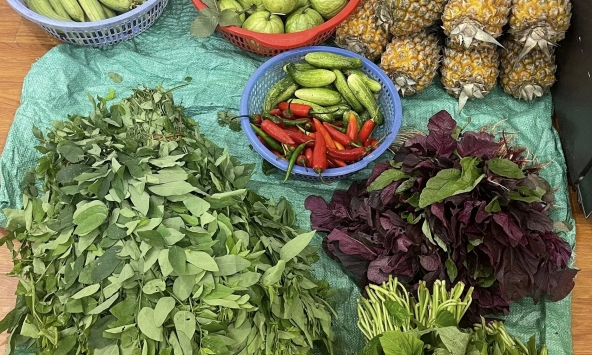 Con vừa nghỉ hè mẹ chồng tôi đã bày ra cái trò không thể chấp nhận nổi
