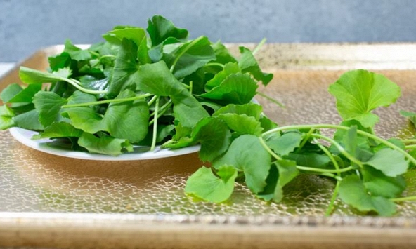 Chống nắng nội sinh tự nhiên: Đây là bát canh nấu cực dễ, ăn vào da mát rượi không sợ bắt nắng, mụn bọc lặn thin thít