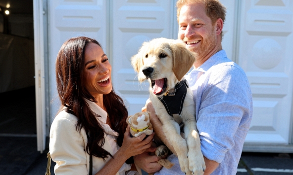Meghan Markle đang úp mở về đồ chơi cho chó?