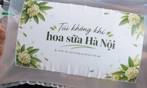 Trong lúc Hà Nội cắt tỉa hoa sữa cho bớt 'thu nồng', xuất hiện túi đựng mùi hoa sữa giá 300.000 đồng
