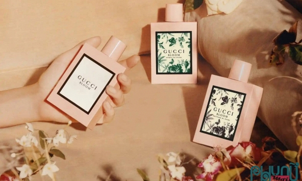 Thương hiệu nước hoa Gucci và những dòng nước hoa nổi bật của hãng