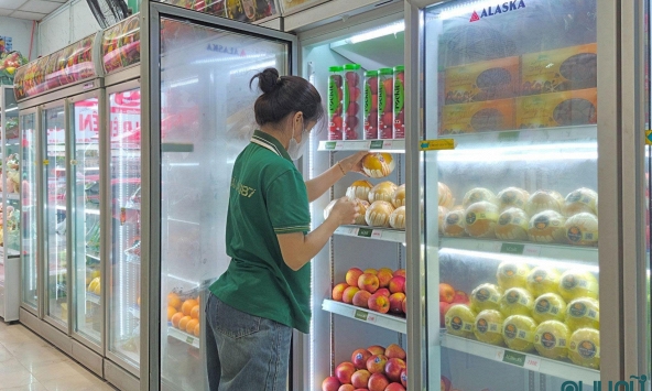 Trái Cây 187 - Hệ thống cửa hàng cung cấp trái cây nhập khẩu và quà tặng cao cấp