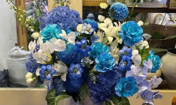 Tulip Hà Lan, món quà sinh nhật được nhiều phụ nữ hiện đại lựa chọn