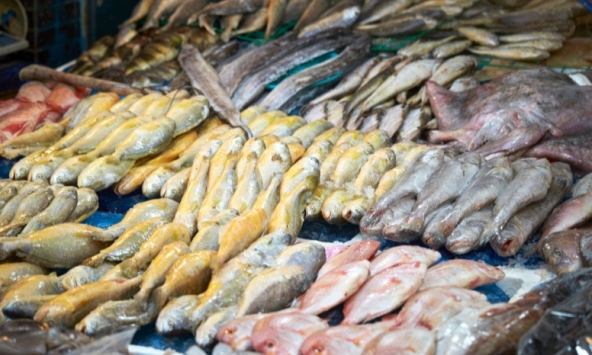 4 loại cá ăn nhiều 'phá gan', ngon bổ mấy cũng hạn chế